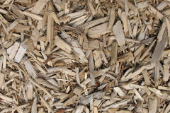 biomass boilers Blairninich